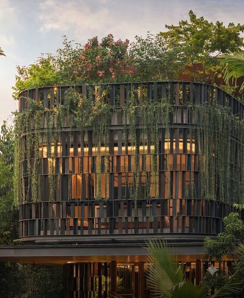 Lớp lam và cây xanh — Timber Screen & Green Layer